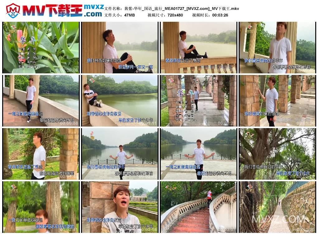 酱紫-华年_国语_流行_MEA01727